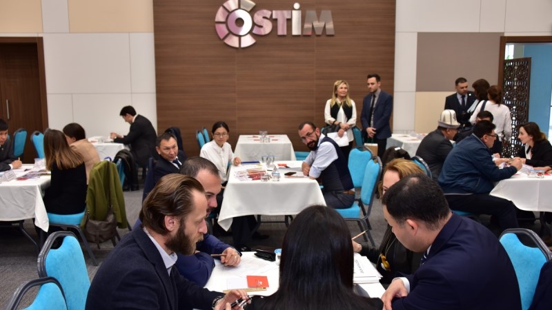 Ostim OSB