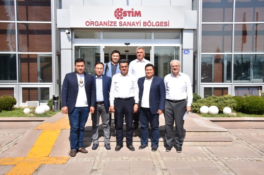 Ostim OSB
