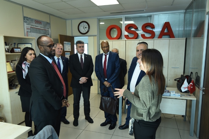 Ostim OSB
