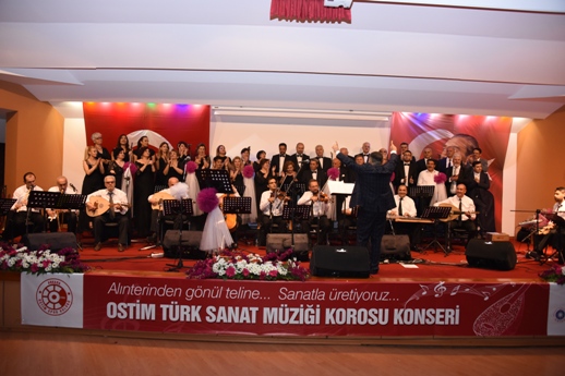 Ostim OSB