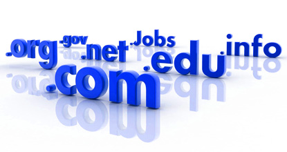 Domain Name Registration Service