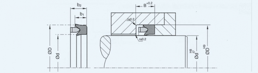 High and Low Pressure Water Seals