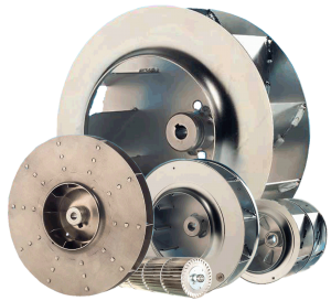 FAN BALANSI