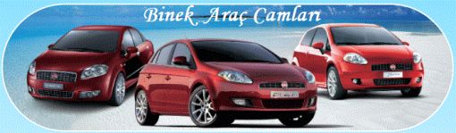Binek Araç Camları