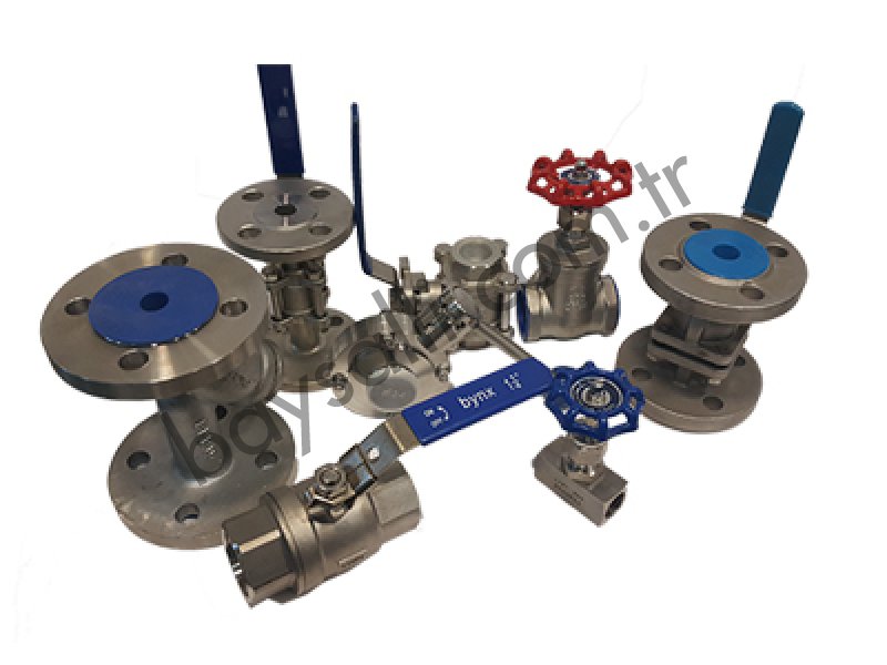 stainless valves