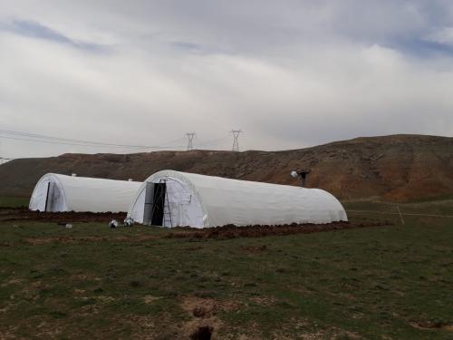 Hayvan Çadırları