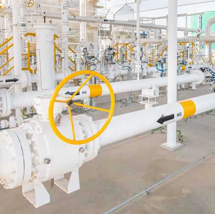 Doğal Gaz Sistemleri