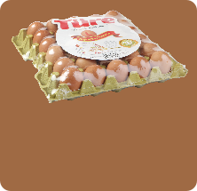 Yumurta