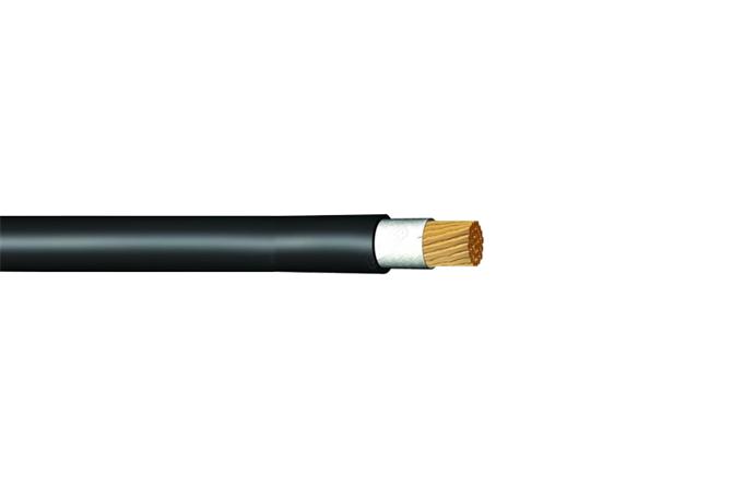 H01N2D SOURCE 100/100 V Rubber Cable