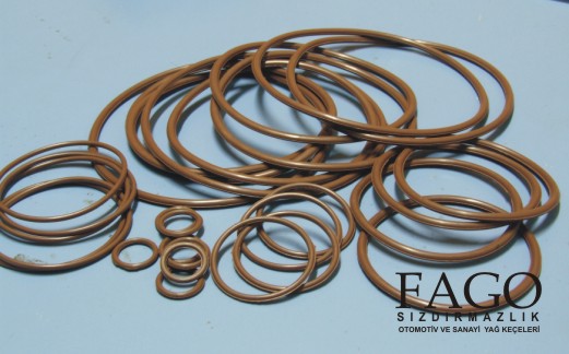 OIL SEALS