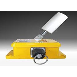 Conveyor Belt Registration Switch
