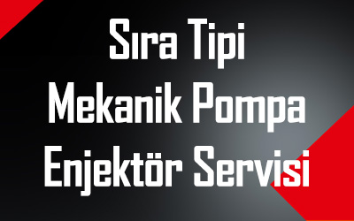 In-line Mechanical Pump and Injector Service