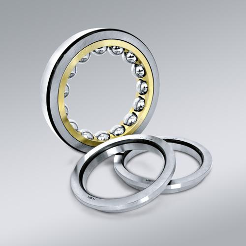 Nsk Four Point Bearing