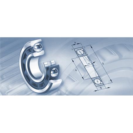 Nsk Spindle Bearing