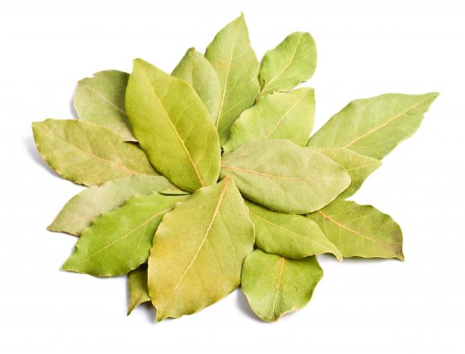 Bay Leaf Granular / Powder