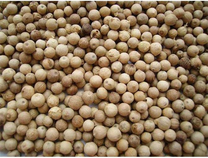 Black Pepper Powder