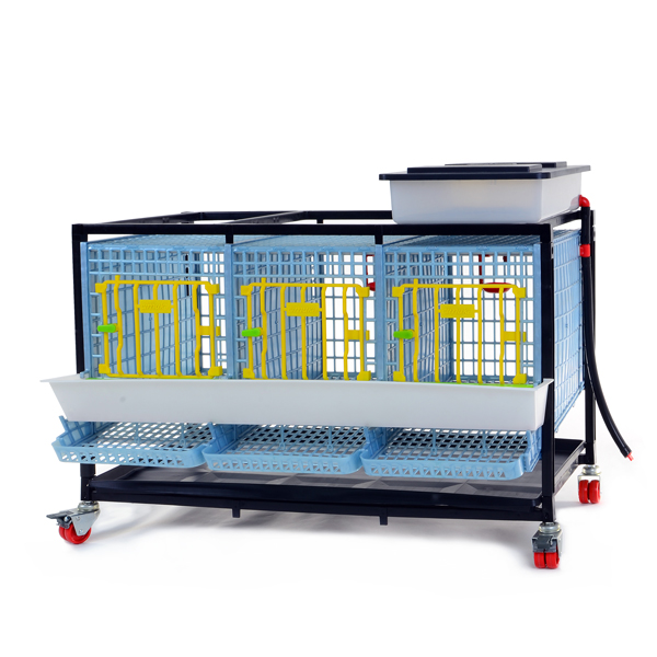 Chicken Cage – 3 Eyes / 1 Floor