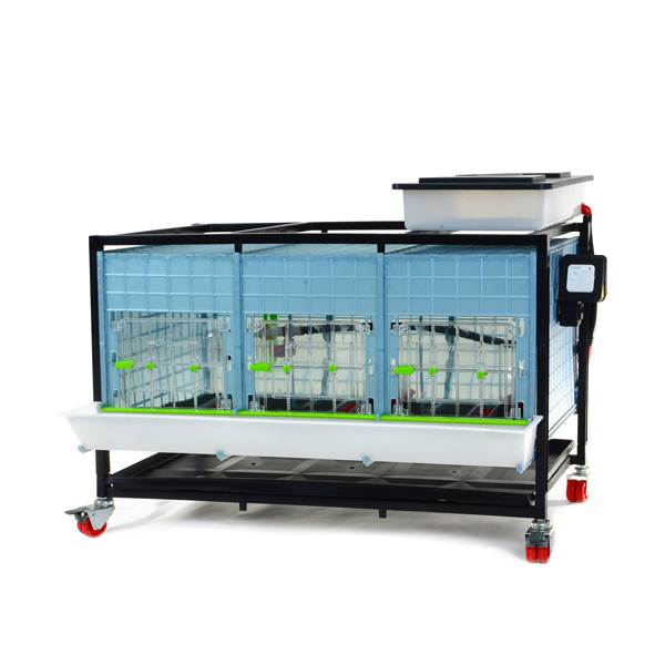 Chick Cage CB40 / 1 STORE