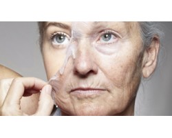 Anti-aging/anti wrinkle Creams
