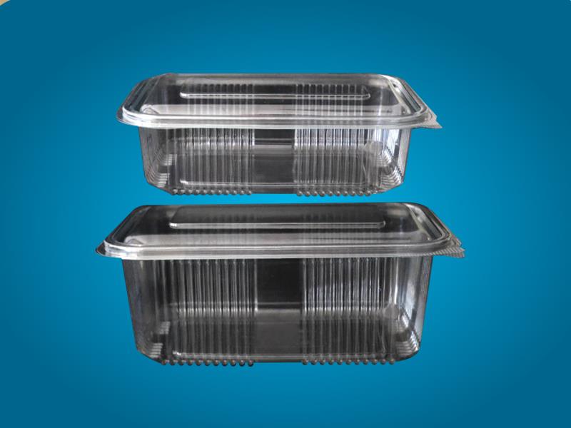 Sealed Containers Rectangle