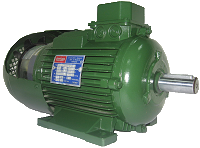 FRENLİ MOTOR