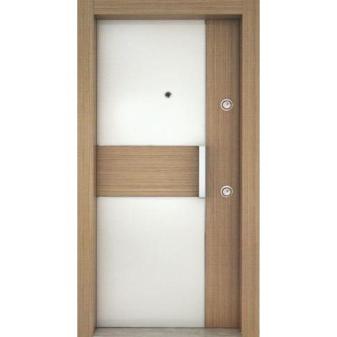 Gold Series Steel Door
