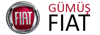 Salim Yıldırım - Gümüş Fiat