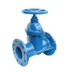 Gate Valve