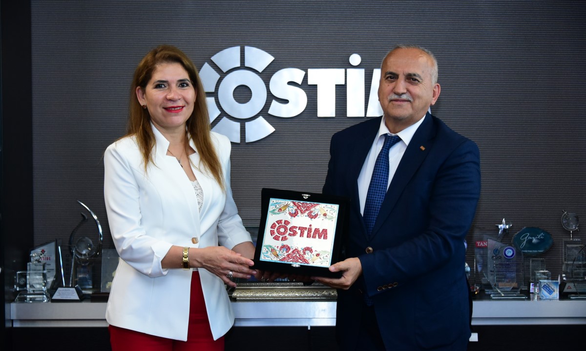Ostim OSB