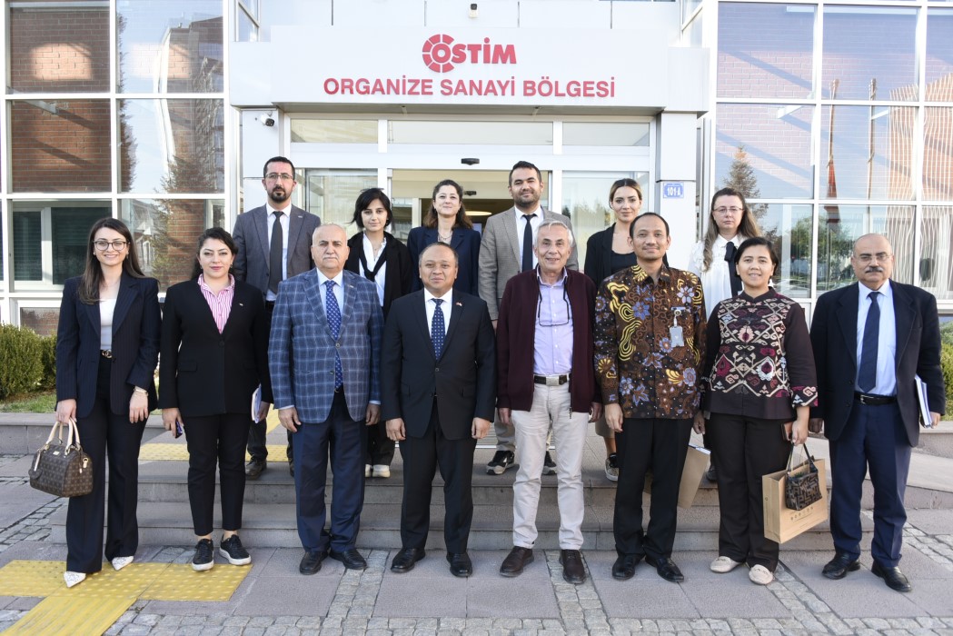 Ostim OSB