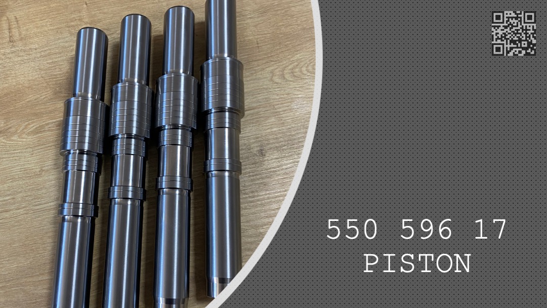 PISTON - 550 596 17 - 55059617