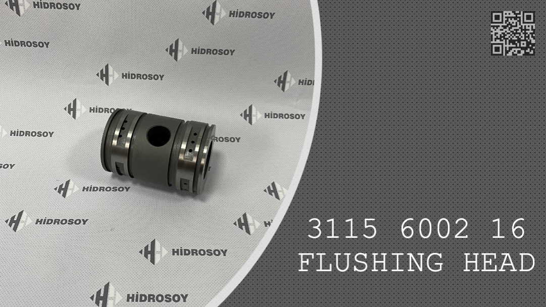 FLUSHING HEAD - 3115 6002 16 - 3115600216