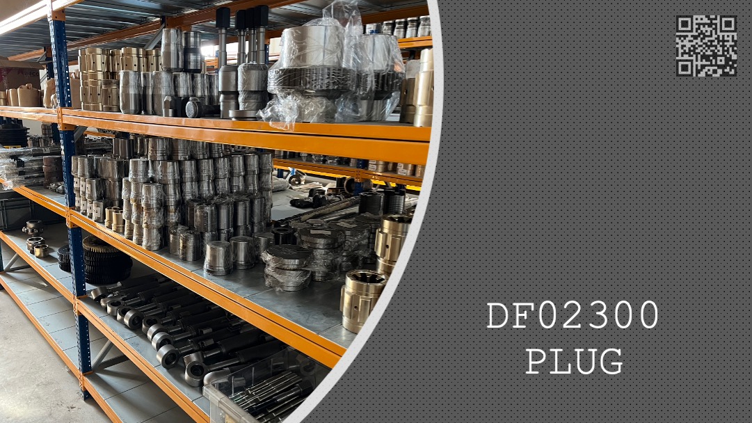 PLUG - DF02300
