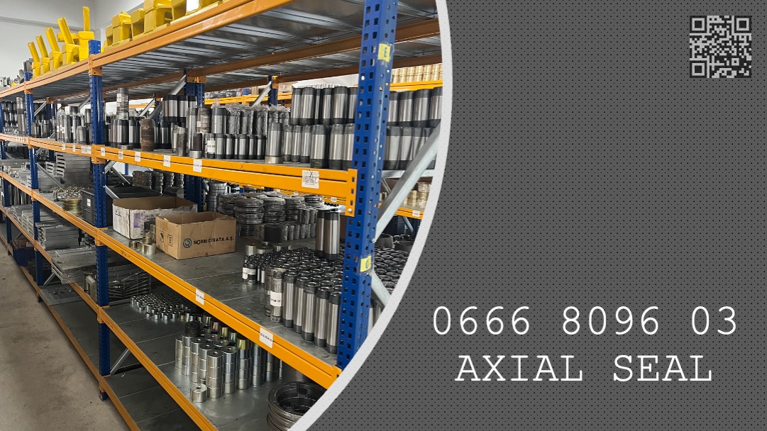 AXIAL SEAL - 0666 8096 03 - 0666809603