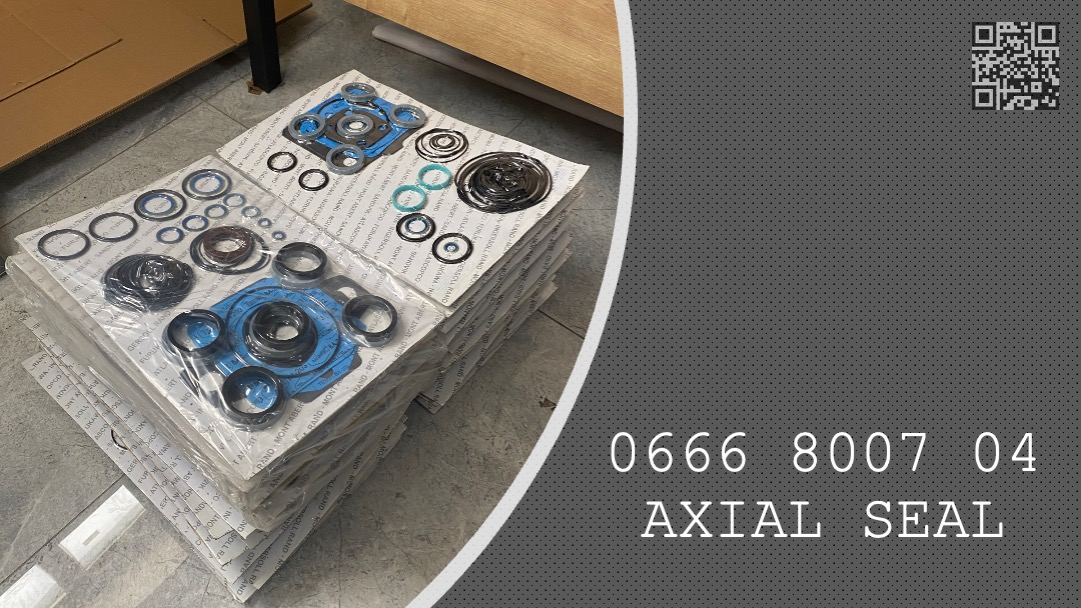 AXIAL SEAL - 0666 8007 04 - 0666800704