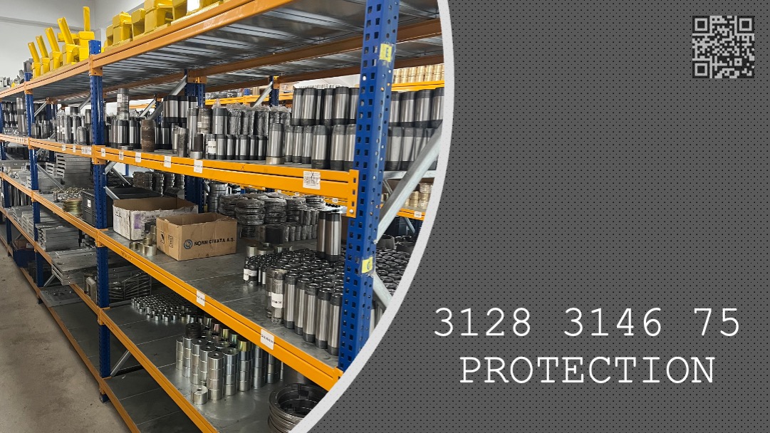 PROTECTION - 3128 3146 75 - 3128314675