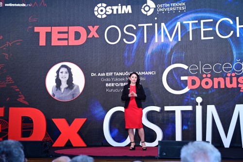 Ostim OSB