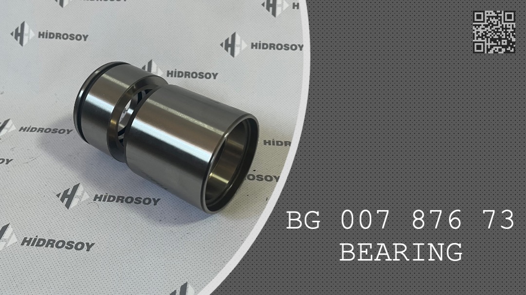 BEARING  -  BG 007 876 73 - BG00787673