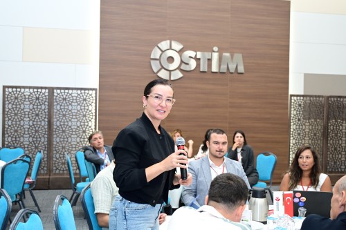 Ostim OSB