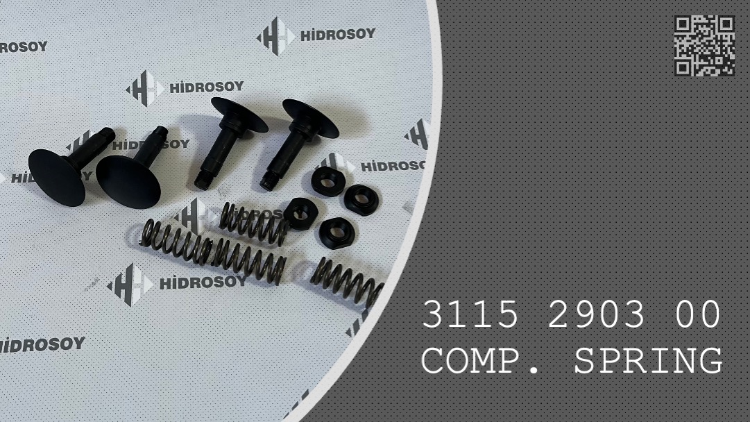 COMPRESSION SPRING.  -  3115 2903 00 - 3115290300
