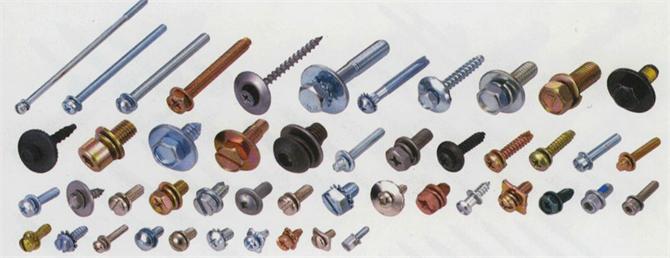 Washer Screw