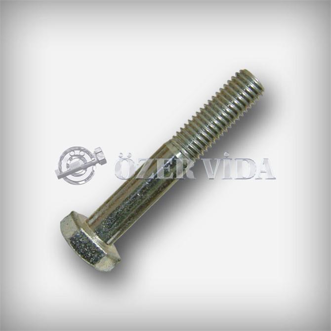Hexagonal Iron Bolt