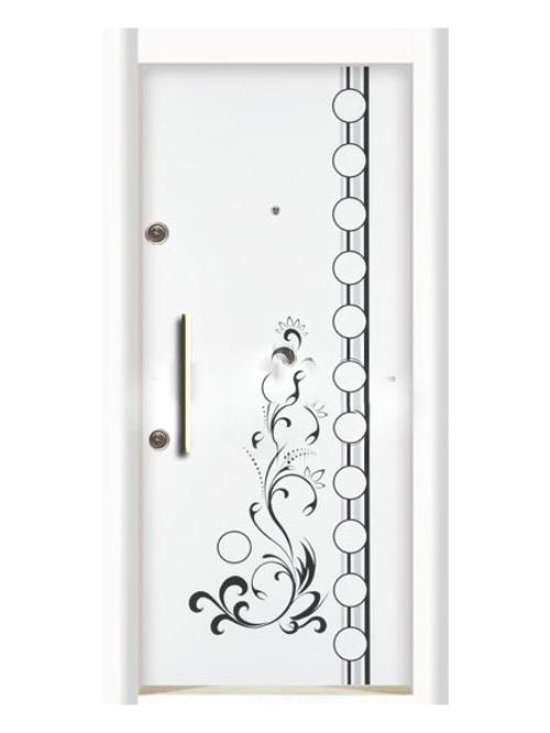 STEEL DOOR