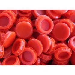 Plastic mold